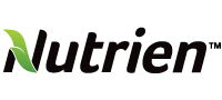 Logo 13